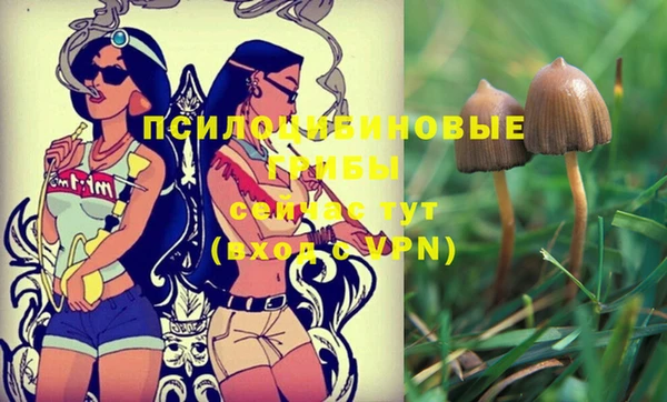 прущий лед Верхний Тагил