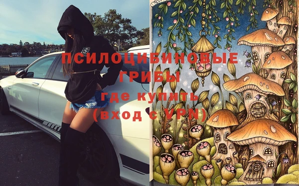 индика Верхнеуральск